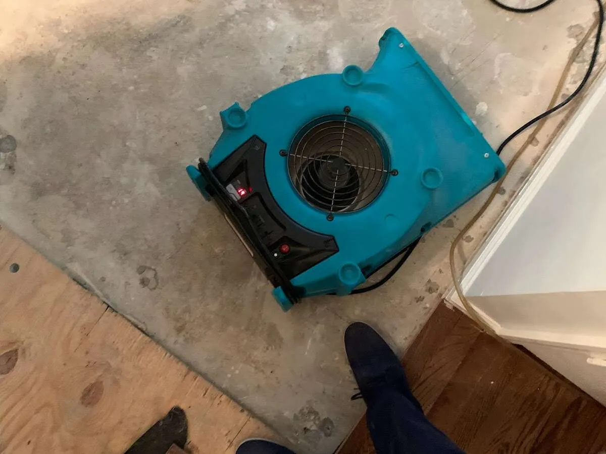 Air mover drying subfloor during Leak Detection & Repair in Brookline